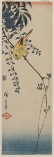 Canary and Wisteria, mid-1840s. Ando Hiroshige (Japanese, 1797-1858). Color woodblock print;