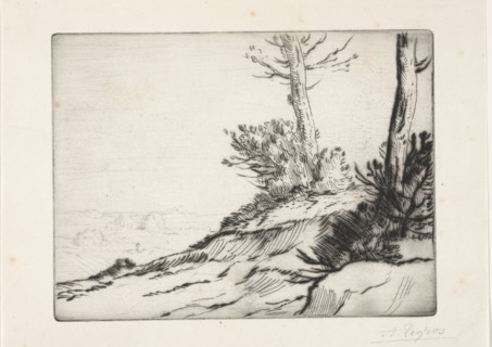 La butte aux broussailles. Alphonse Legros (French, 1837-1911). Etching