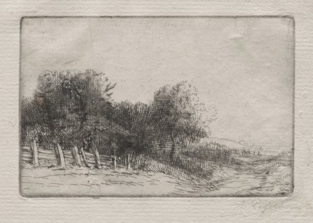 Landscape (Un Paysage). Alphonse Legros (French, 1837-1911). Etching