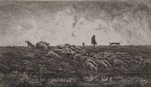 The Shower, c. 1851. Charles François Daubigny (French, 1817-1878). Etching; sheet: 27.5 x 38.3 cm