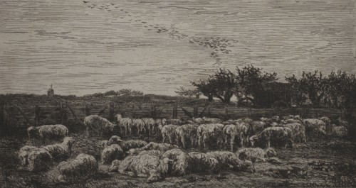 Published in l'Album de la Société des Aquafortistes, September 1862.: The Large Sheep-Fold, 1860.