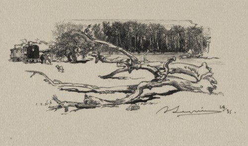 Carrefour de l'Epine, 1887. Auguste Louis Lepère (French, 1849-1918). Wood engraving