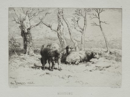 Sheep, 1868. Charles-Émile Jacque (French, 1813-1894). Etching
