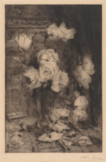 Study of Roses. Charles Nicolas Storm van 's-Gravesande (Dutch, 1841-1924). Etching