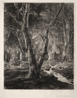 À Pierrefonie. Adolphe Théodore Jules Martial Potémont (French, 1828-1883). Etching