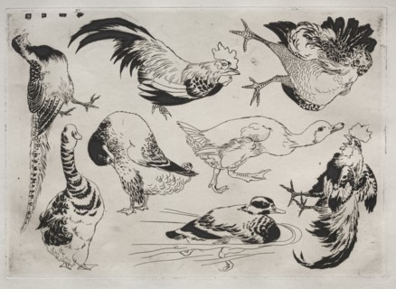 Dinner Service (Rousseau service): Roosters, ducks, etc. (no. 13), 1866. Félix Bracquemond (French,
