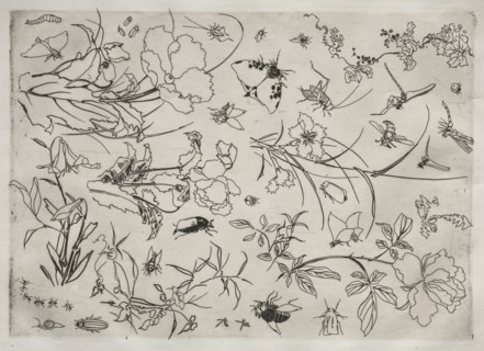Dinner Service (Rousseau service): Flowers and Insects (no. 15), 1866. Félix Bracquemond (French,