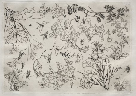 Dinner Service (Rousseau service): Flowers (no. 22), 1866. Félix Bracquemond (French, 1833-1914).