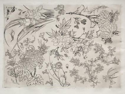 Dinner Service (Rousseau service): Flowers (no. 23), 1866. Félix Bracquemond (French, 1833-1914).