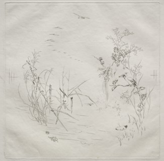 Parisian Service (Haviland service): Calm (no. 3), 1875. Félix Bracquemond (French, 1833-1914).