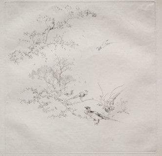 Parisian Service (Haviland service), 1875. Félix Bracquemond (French, 1833-1914). Etching; sheet: