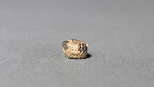 Miniature Basket, Unassigned. America, Native North American, Southwest, Arizona, Akimel O'odham