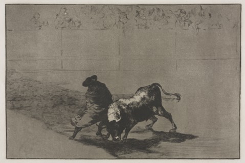 Bullfights:  The Very Skilful Student of Falces, Wrapped in his Cape, Tricks the Bull with the Play