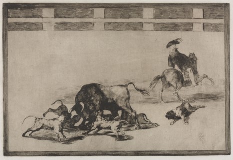 Bullfights:   They Loose Dogs on the Bull, 1876. Francisco de Goya (Spanish, 1746-1828). Engraving