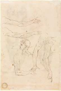 Sketches of Five Arms and a Head (verso), mid 1500s. Luzio Romano (Italian, active 1528-75). Pen