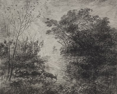 Stags, original impression 1862, printed in 1921. Charles François Daubigny (French, 1817-1878).