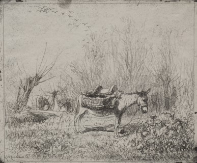 A Donkey in the Field, original impression 1862, printed in 1921. Charles François Daubigny