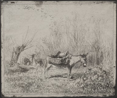 A Donkey in the Field, original impression 1862, printed in 1921. Charles François Daubigny