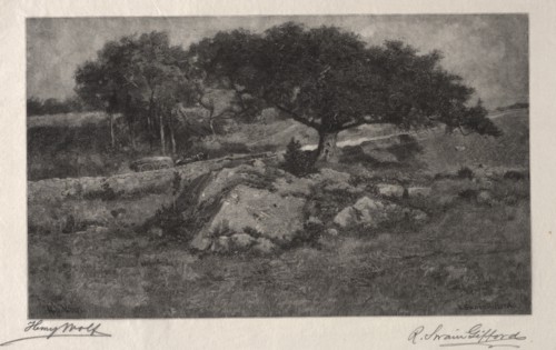 The Roadside. Henry Wolf (American, 1852-1916). Wood engraving