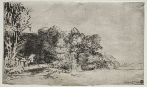 Clump of Trees with a Vista, 1652. Rembrandt van Rijn (Dutch, 1606-1669). Etching and drypoint;