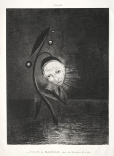 Homage to Goya:  The Marsh Flower and a Human and Sad Head, 1885. Odilon Redon (French, 1840-1916).