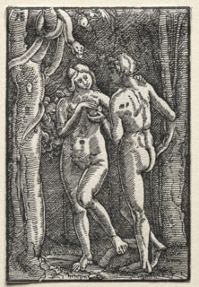 The Fall and Redemption of Man:  Adam and Eve Eating the Forbidden Fruit, c. 1515. Albrecht