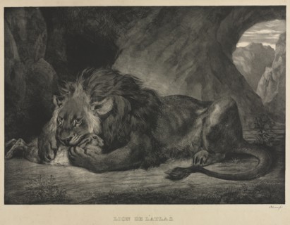 Lion de l'Atlas, 1829. Eugène Delacroix (French, 1798-1863). Lithograph