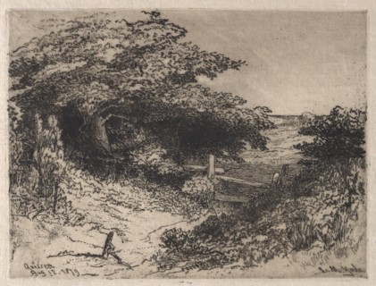 Quissett, Barnstable County, Massachusetts, 1879. Leroy Milton Yale (American, 1841-1906). Etching