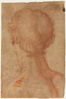 Man's Head from the Back, 16th century?. Copy after Agnolo Bronzino (Italian, 1503-1572). Red chalk