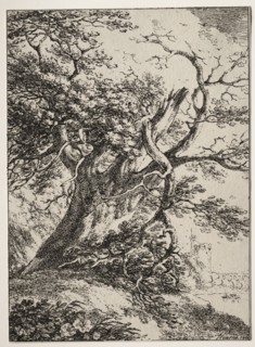 Specimens of Polyautography:  Landscape with an Oak Tree, 1803. Thomas Hearne (British, 1744-1817).