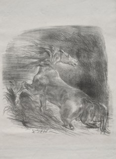 The Wild Horse, or Frightened Horse Leaving the Water, 1828. Eugène Delacroix (French, 1798-1863).