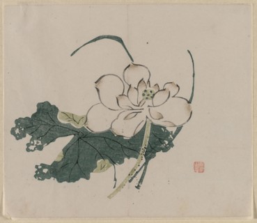 Lotus Blossom, 1368-1644. China, Ming dynasty (1368-1644) or later. Color woodblock print; overall: