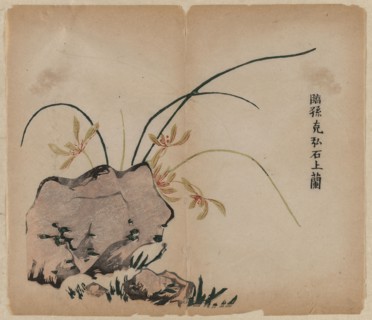 Orchid on Rocks, 18th Century. China, Qing dynasty (1644-1911). Color woodblock print; overall: 29