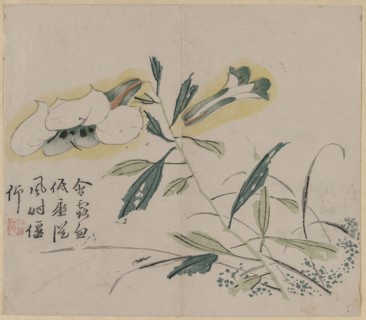 Flowering Lily, 18th Century. China, Qing dynasty (1644-1911). Color woodblock print; overall: 30.1