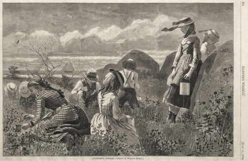 Gathering Berries, 1874. Winslow Homer (American, 1836-1910). Wood engraving