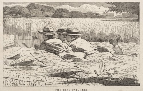 The Bird Catchers, 1867. Winslow Homer (American, 1836-1910). Wood engraving