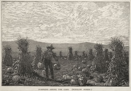 Pumpkins Among the Corn, 1878. Winslow Homer (American, 1836-1910). Wood engraving