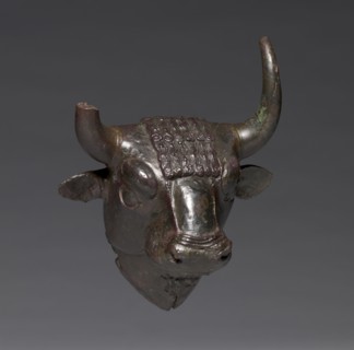 Bull Head Attachment, c. 700-600 BC. Urartian, northwest Iran, possibly Gusçi, Lake Urmia, c.