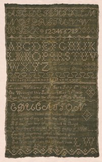 Sampler, 1808. America, 19th century. Embroidery, silk on homespun; average: 46.1 x 27.3 cm (18 1/8