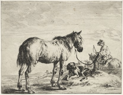 Horse bound to a post. Dirck Stoop (Dutch, c. 1618-1681). Etching