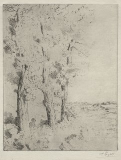 The Reader:  The Lecture under the Trees, c. 1882. Alphonse Legros (French, 1837-1911). Drypoint