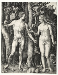 Adam and Eve, 1504. Albrecht Dürer (German, 1471-1528). Engraving; sheet: 25.2 x 19.4 cm (9 15/16 x