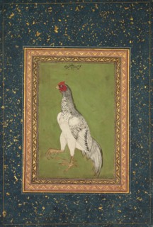 Rooster, c. 1620. India, Mughal, 17th century. Opaque watercolor and gold on paper; image: 18.3 x