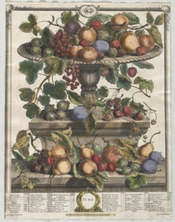 Twelve Months of Fruit:  June, 1732. Henry Fletcher (British, active 1715-38). Engraving,
