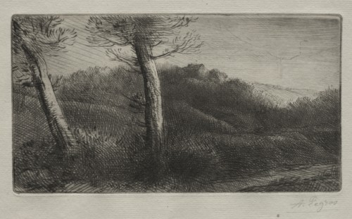 The Traveler Stretched out on the Grass, c. 1888. Alphonse Legros (French, 1837-1911). Drypoint