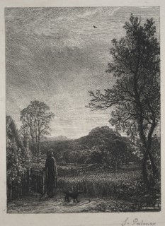 The Skylark, 1850. Samuel Palmer (British, 1805-1881). Etching