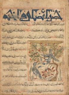 Qualities of Ringdoves (recto) from a Manafi' al-Hayawan (On the Usefulness of Animals) of Ibn