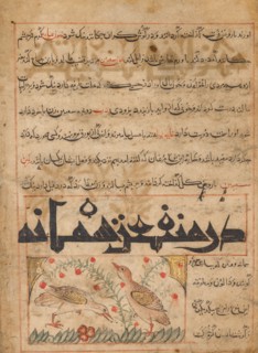 On the Benefits of Quails (verso) from a Manafi' al-Hayawan (On the Usefulness of Animals) of Ibn