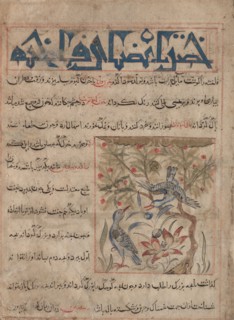 Qualities of Ringdoves (recto); On the Benefits of Quails (verso), from a Manafi' al-Hayawan (On