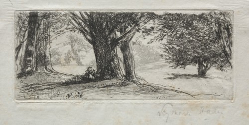 Holly Field. Francis Seymour Haden (British, 1818-1910). Etching